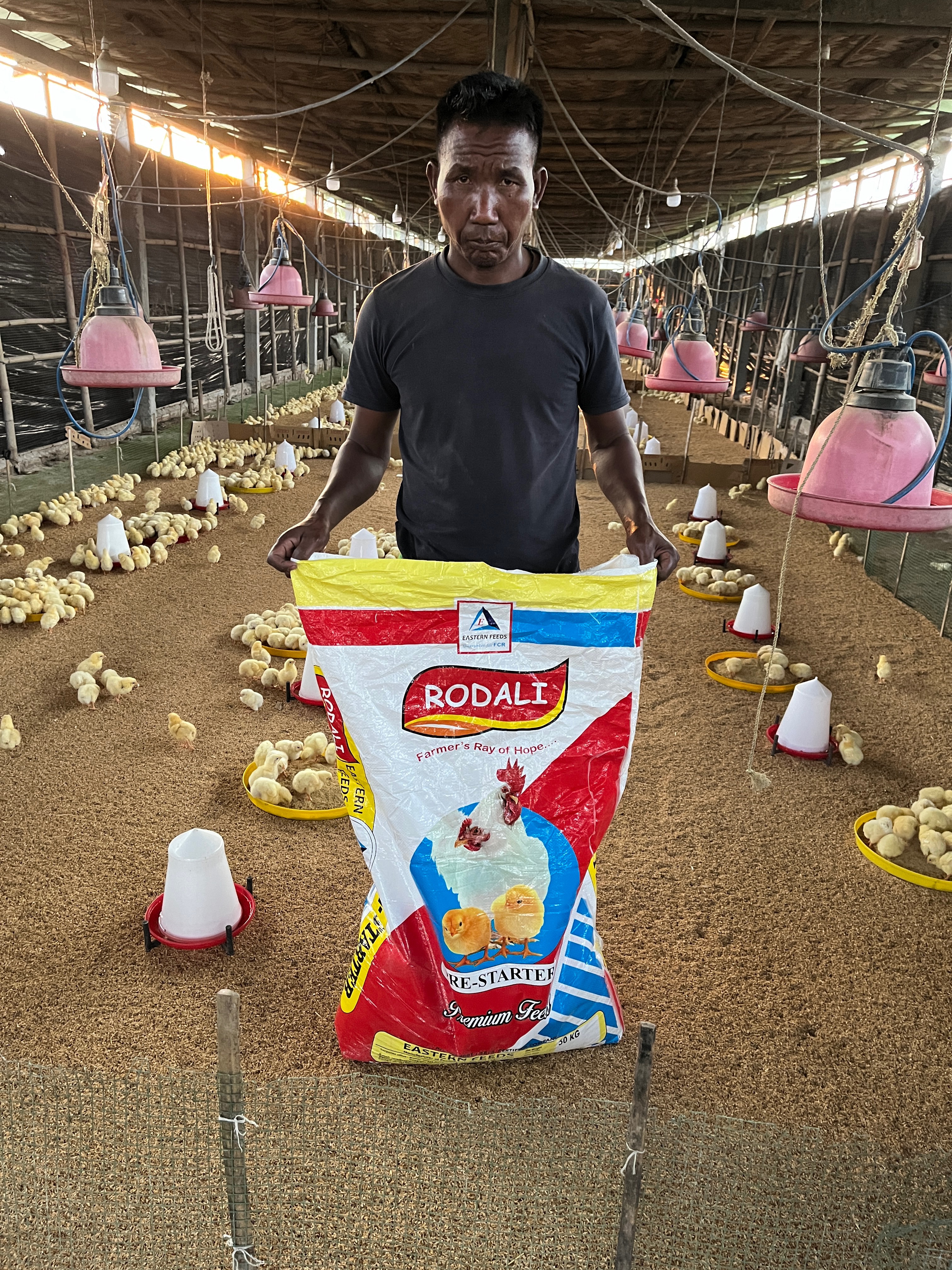 Eastern Feeds farm visit — livestock farm Assam
