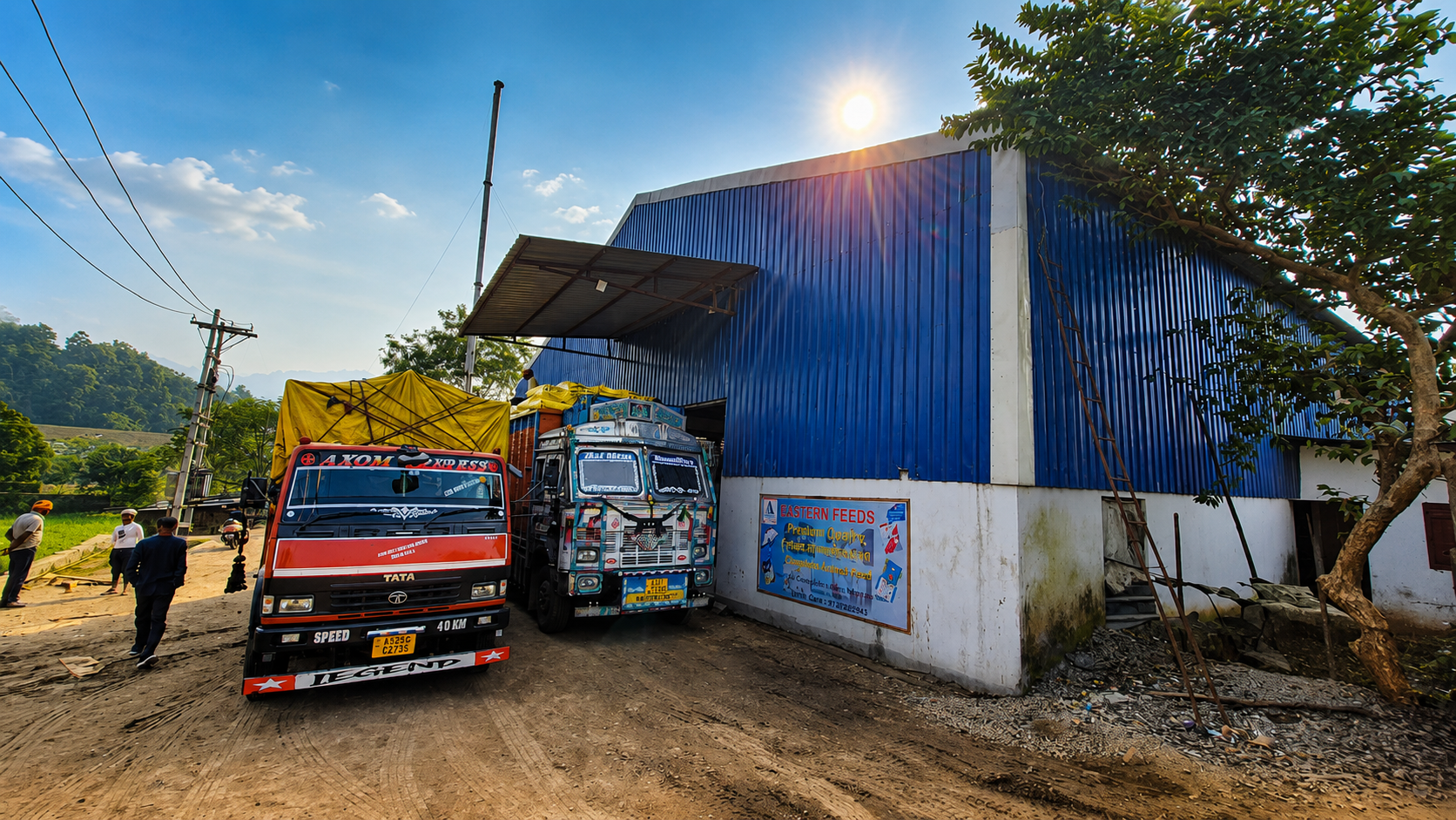 Eastern Feeds dispatch and logistics — trucks loading at facility